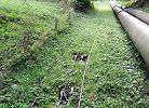Standseilbahn Kraftwerk Turtmann Oberems - Foto Hansruedi Imgrüth Histec Archiv standseilbahnen.ch Standseilbahn Kraftwerk Turtmann Oberems - Foto Hansruedi Imgrüth Histec Archiv standseilbahnen.ch