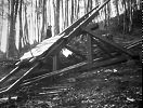 Sihlwald Hebisen Standseilbahn Holztransport - der leere Wagen auf der Wippe der Ausweiche - Foto Archiv standseilbahnen.ch Sihlwald Hebisen Standseilbahn Holztransport - der leere Wagen auf der Wippe der Ausweiche - Foto Archiv standseilbahnen.ch