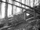 Sihlwald Hebisen Standseilbahn Holztransport - Wagen auf Talfahrt und die Wippe der Ausweiche - Foto Archiv standseilbahnen.ch Sihlwald Hebisen Standseilbahn Holztransport - Wagen auf Talfahrt und die Wippe der Ausweiche - Foto Archiv standseilbahnen.ch