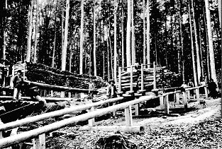 Sihlwald Standseilbahn für Holztransport - Foto Archiv standseilbahnen.ch Sihlwald Standseilbahn für Holztransport - Foto Archiv standseilbahnen.ch
